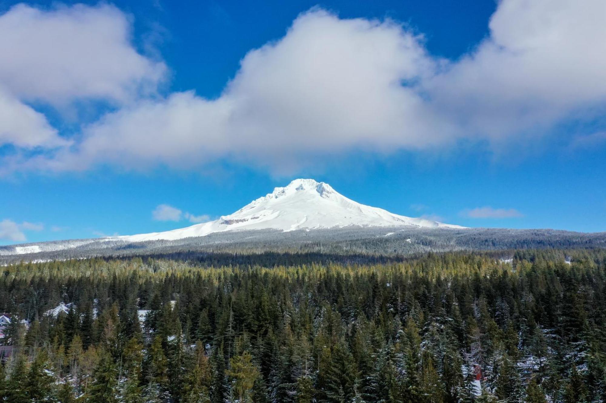The Clyde - Your Cozy & Luxurious Mt Hood Retreat Говермент Кэмп Экстерьер фото